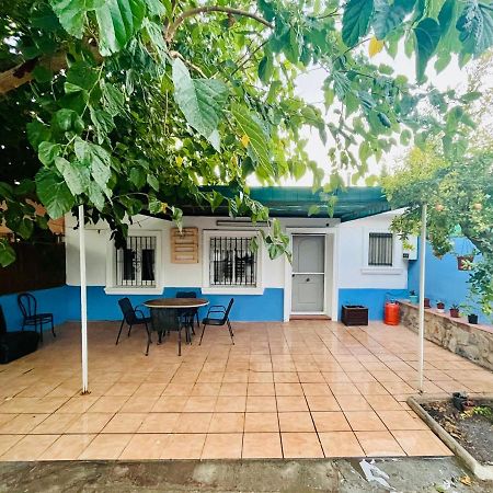 Estudio Adosado Acogedor Con Jardin, Barbacoa Y Parking Privado Аликанте Екстериор снимка