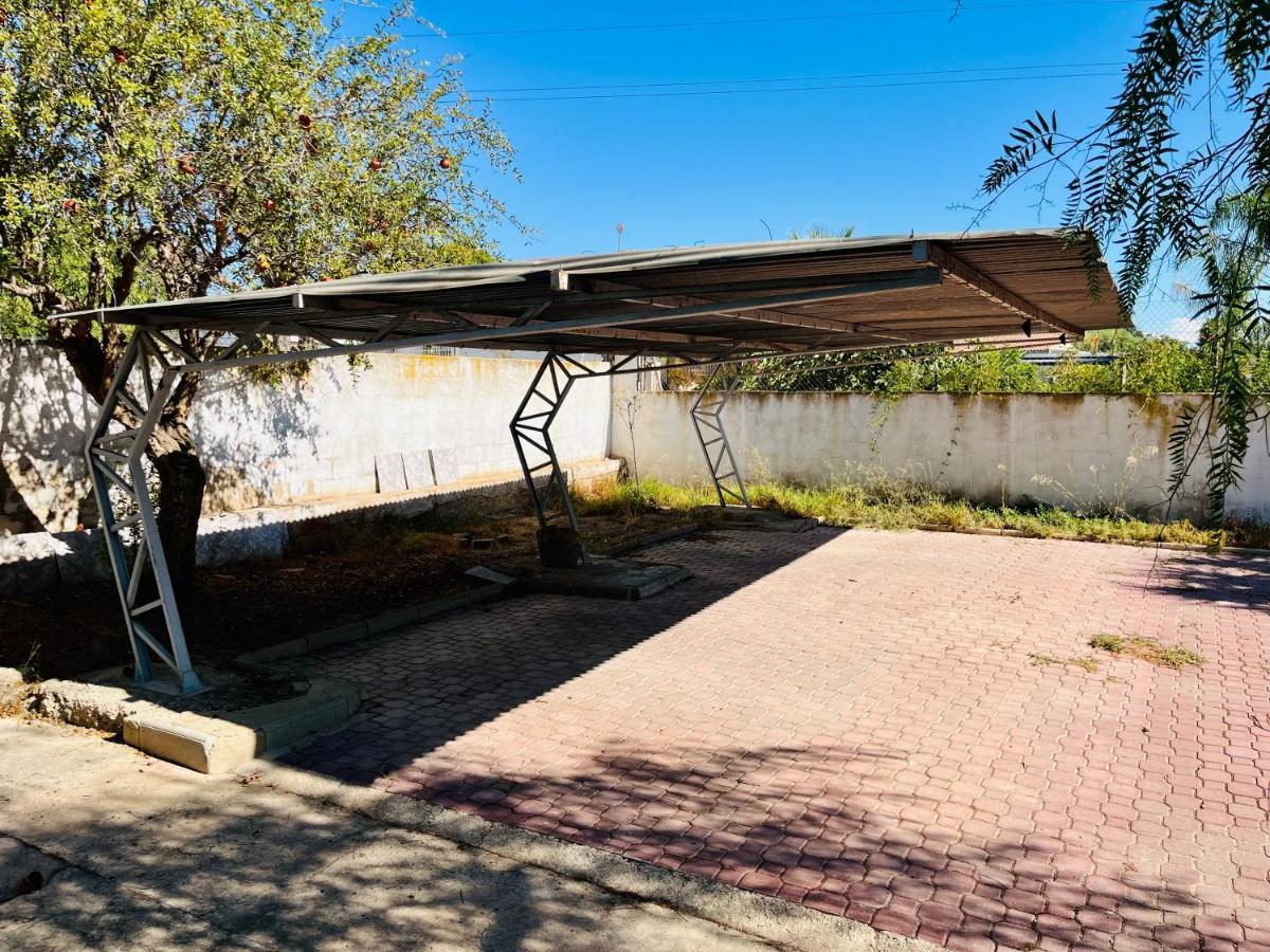 Estudio Adosado Acogedor Con Jardin, Barbacoa Y Parking Privado Аликанте Екстериор снимка