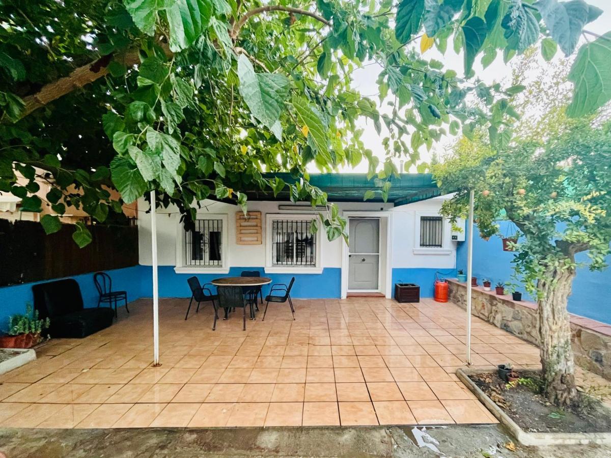 Estudio Adosado Acogedor Con Jardin, Barbacoa Y Parking Privado Аликанте Екстериор снимка